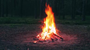 Akşam Ateşi Yazın Çam Ormanı 'nda yanıyor. Alevli Kamp Ateşi, Şenlik Ateşi İçin Yer. Fire Pit Out, Wood On Fire, Flying Sparks ve Smoke. Seyahat ve Turizm Konsepti - Statik Atış