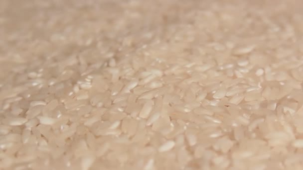 쌀로팅 게뿌려진 장작을 먹는다 아시아의 문화와 식단이다 식생활 — 비디오