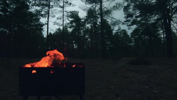 Płomień Płonie Grillu Rozpalanie Ognia Brazylijczyku Rozpalanie Węgla Mangalu Przygotowanie — Wideo stockowe