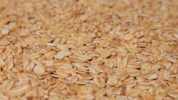 Uncooked Oat Flakes Rotating Scattered Dry Raw Oat Flakes Healthy — Wideo stockowe