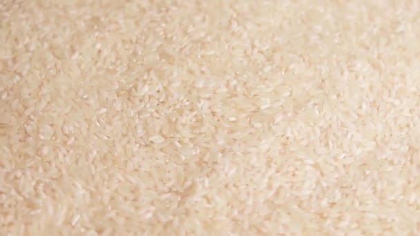Сухий Неварений Білий Рис Обертається Розсіяний Сирий Довгий Зерновий Рис — стокове відео