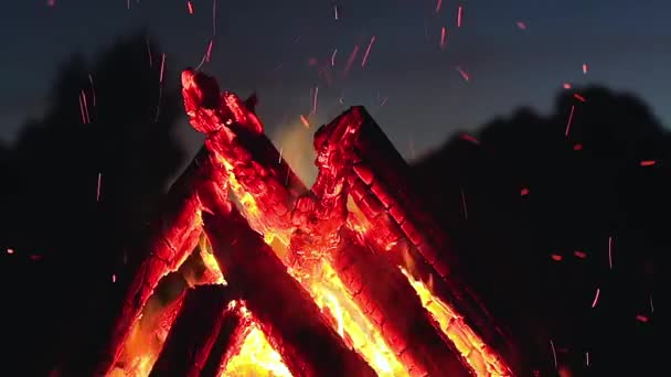 Big Burning Campfire Early Morning Evening Blue Sky Wood Fire — Stock Video