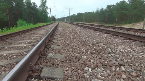 Rückwärts Entlang Der Eisenbahn Die Durch Den Kiefernwald Führt Europäische — Stockvideo