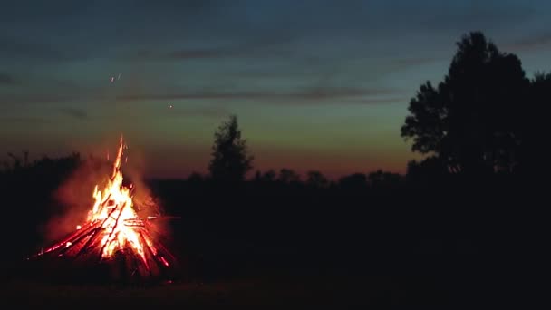 Großes Brennendes Lagerfeuer Der Sommernacht Vor Blauem Himmel Holz Flammen — Stockvideo