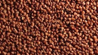 Kuru pişmemiş kahverengi karabuğday Groats, Yavaşça Saat Yönünde Dönen Üst Görünüm, Alçak Anahtar Işığı. Çiğ Büyük Karabuğday Taneleri. Rus, Ukrayna ve Beyaz Rusya Kültürü. Sağa Döndür