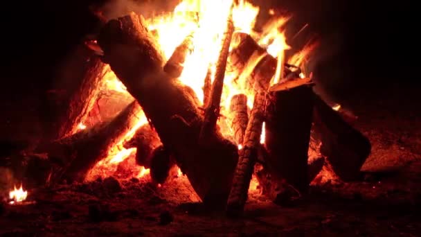 Night Bonfire Burns Dark Forest Flaming Campfire Nighttime Place Bonfire — Stock Video