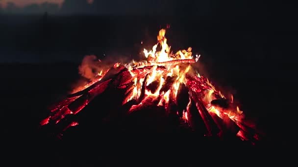 Big Campfire Burning Early Morning Evening Blue Sky Wood Fire — Stockvideo