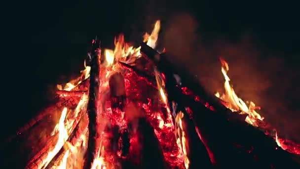 Big Campfire Burning Early Morning Evening Blue Sky Wood Fire — Vídeo de Stock