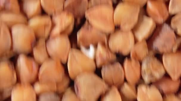 Brown Buckwheat Groats Background Moving Downward Top View Close Macro — Stok Video