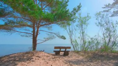 Colorful Sea Panorama at Summer Sunny Day - Slow Motion. Access to the Baltic Sea, Moving Forward to the Water