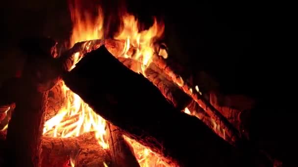 Ночной Костер Горит Темном Лесу Медленное Движение Огненный Костер Ночью — стоковое видео