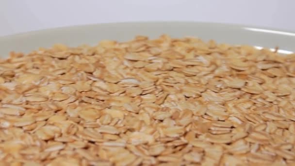Uncooked Oat Flakes Rotating White Plate White Background Scattered Dry — Stok video