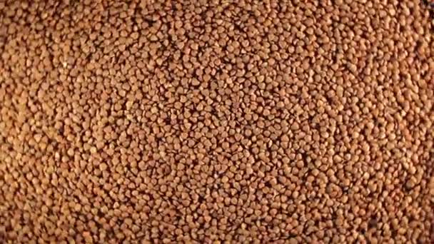 Dry Uncooked Brown Buckwheat Groats Rotating Background Top View Low — Vídeo de stock
