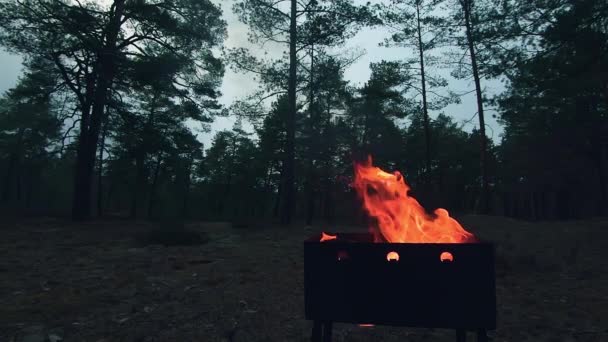Φλόγα Καίγεται Στο Γκριλ Ναψε Φωτιά Στο Μπραζιέ Κάρβουνα Kindling — Αρχείο Βίντεο