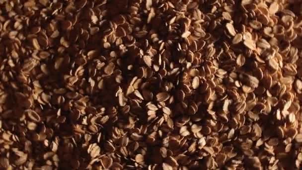 Oat Flakes Background Rotating Left Top View Low Key Light — Stok Video