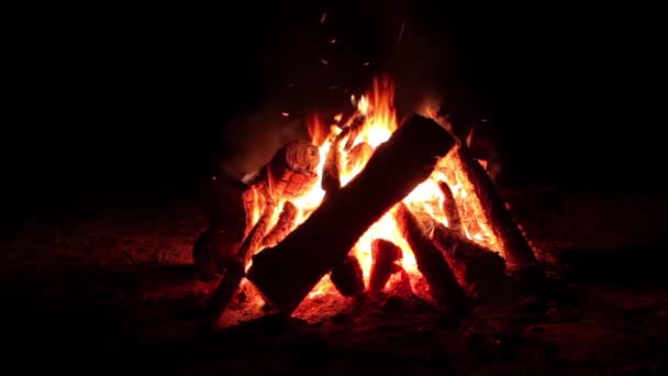 Night Bonfire Burns Dark Forest Isolated Black Background Flaming Campfire — Stock Video
