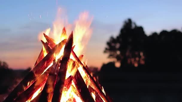 Big Burning Campfire Summer Evening Blue Sky Wood Fire Flying — стоковое видео