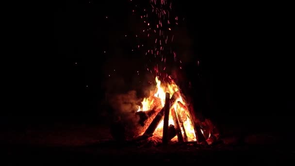 Ночной Костер Горит Темном Лесу Изолированный Чёрном Медленное Движение Огненный — стоковое видео