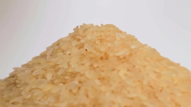 Tørr Ukokt Forvellet Rice Heap Roterende Mot Hvit Bakgrunn Påle – stockvideo