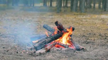 Yaz Bayramı 'nda Ormanda Şenlik Ateşi. Alevli Kamp Ateşi. Doğadaki Şömine - Sabit Çekim, Yavaş Hareket