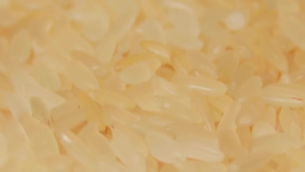 Dry Uncooked Parboiled Rice Rotating Macro Scattered Raw Long Grain — Stockvideo