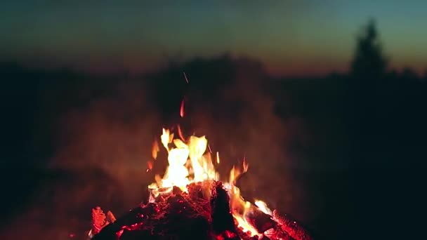 Big Campfire Burning Early Morning Evening Blue Sky Wood Fire — Stockvideo