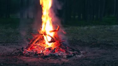 Akşam Ateşi Yazın Çam Ormanı 'nda yanıyor. Alevli Kamp Ateşi, Şenlik Ateşi İçin Yer. Fire Pit Out, Wood On Fire, Flying Sparks ve Smoke. Seyahat ve Turizm Konsepti - Yavaş Hareket