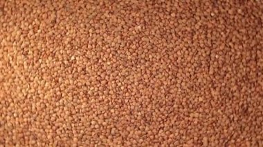 Kuru pişmemiş kahverengi karabuğday tarlaları, döner arka plan - Top View. Çiğ Büyük Karabuğday Taneleri. Rus, Ukrayna ve Beyaz Rusya Kültürü. Sağa Döndür