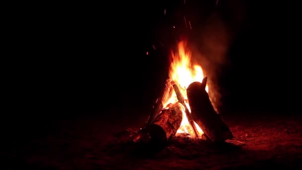 Nattebål Brænder Den Mørke Skov Isoleret Sort Baggrund Flammende Lejrbål – Stock-video