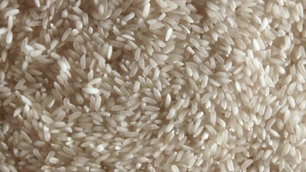 Trockener Ungekochter Weißer Reis Hintergrund Der Sich Langsam Nach Links — Stockvideo