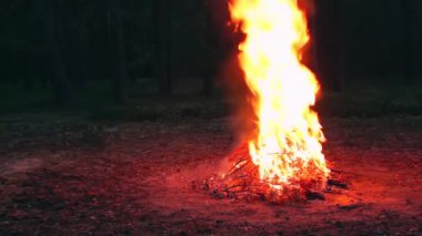 Akşam Ateşi Yazın Çam Ormanı 'nda yanıyor. Alevli Kamp Ateşi, Şenlik Ateşi İçin Yer. Fire Pit Out, Wood On Fire, Flying Sparks ve Smoke. Seyahat ve Turizm Konsepti - Statik Atış