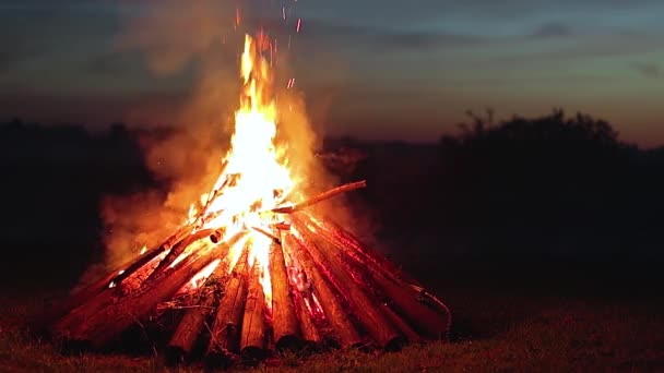 Big Burning Campfire Early Morning Evening Blue Sky Wood Fire — Vídeo de Stock