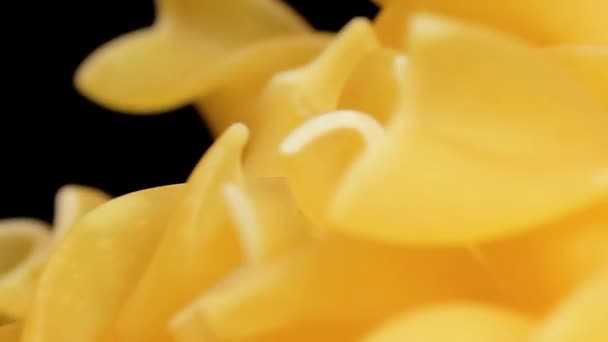 Fusilli Pasta Heap Rotating Macro Dalam Bahasa Inggris Lemak Dan — Stok Video