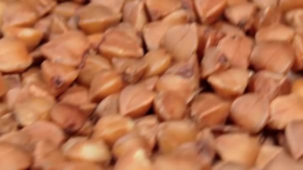 Dry Uncooked Brown Buckwheat Groats Rotating Macro Raw Large Buckwheat — Stockvideo