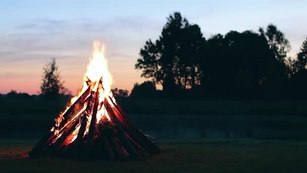 Big Burning Campfire Summer Evening Blue Sky Wood Fire Flying — Vídeo de Stock