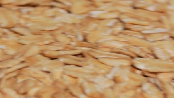 Uncooked Oat Flakes Rotating Macro Scattered Dry Raw Oat Flakes — Vídeos de Stock