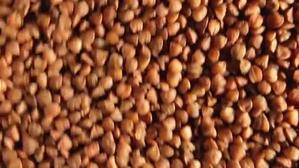 Dry Uncooked Brown Buckwheat Groats Background Moving Upward Top View — Stock Video