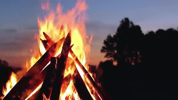Big Burning Campfire Summer Evening Blue Sky Wood Fire Flying — стоковое видео