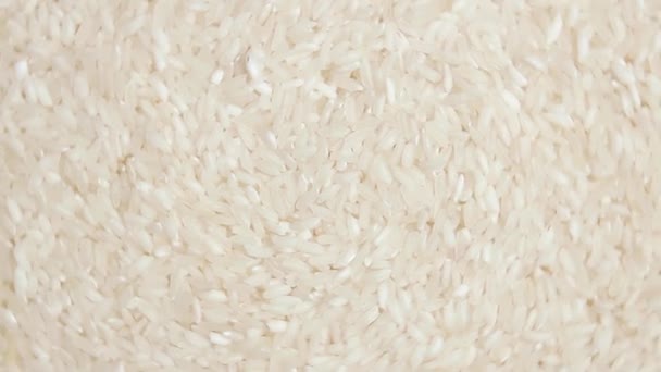 Ξηρό Άψητο Άσπρο Ρύζι Φόντο Περιστρεφόμενο Δεξιά Πάνω Όψη Σκορπισμένο — Αρχείο Βίντεο