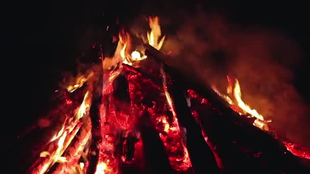 Big Campfire Burning Early Morning Evening Blue Sky Wood Fire — Vídeo de Stock