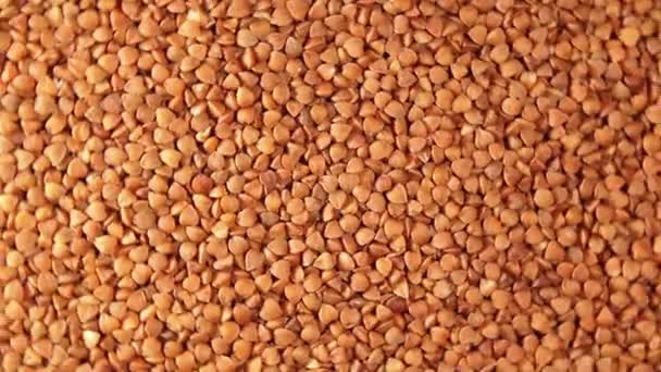 Dry Uncooked Brown Buckwheat Groats Rotating Background Top View Raw — Stok video