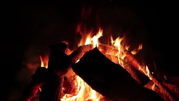Night Bonfire Burns Dark Forest Slow Motion Inglés Fogata Llamas — Vídeo de stock