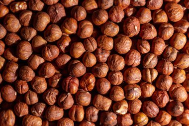 Dağıtılmış Fındık Kabuğu - Üst Manzara. Fındıklı. Doğal Yüksek Kalorili Atıştırmalıklar