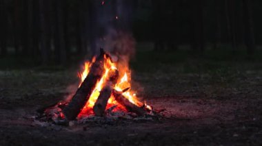 Akşam Ateşi Yazın Çam Ormanı 'nda yanıyor. Alevli Kamp Ateşi, Şenlik Ateşi İçin Yer. Fire Pit Out, Wood On Fire, Flying Sparks ve Smoke. Seyahat ve Turizm Konsepti - Yavaş Hareket