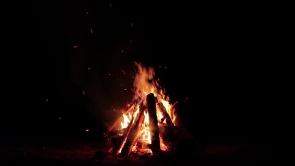 Night Bonfire Burns Dark Forest Isolado Black Movimento Lento Fogueira — Vídeo de Stock