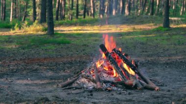 Akşam Ateşi Yazın Çam Ormanı 'nda yanıyor. Alevli Kamp Ateşi, Şenlik Ateşi İçin Yer. Fire Pit Out, Wood On Fire, Flying Sparks ve Smoke. Seyahat ve Turizm Konsepti - Yavaş Hareket
