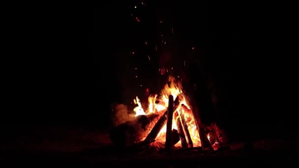 Nachtfeuer Brennt Dunklen Wald Isoliert Auf Schwarzem Hintergrund Flammendes Lagerfeuer — Stockvideo