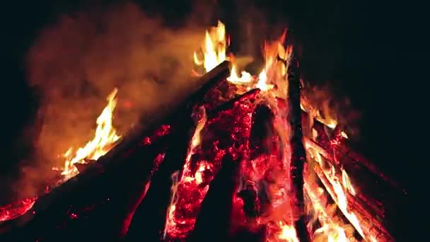 Big Campfire Burning Early Morning Evening Blue Sky Wood Fire — Vídeo de stock