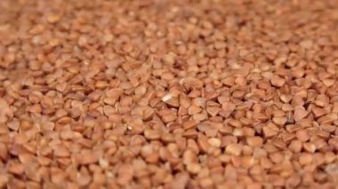 Kuru pişmemiş kahverengi karabuğday Groats dönüyor. Çiğ Büyük Karabuğday Taneleri. Rus, Ukrayna ve Beyaz Rusya Kültürü