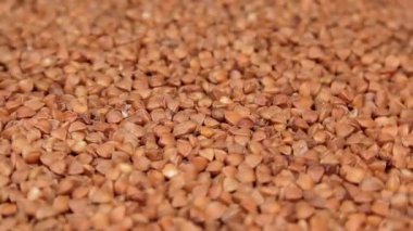 Kuru pişmemiş kahverengi karabuğday Groats dönüyor. Çiğ Büyük Karabuğday Taneleri. Rus, Ukrayna ve Beyaz Rusya Kültürü